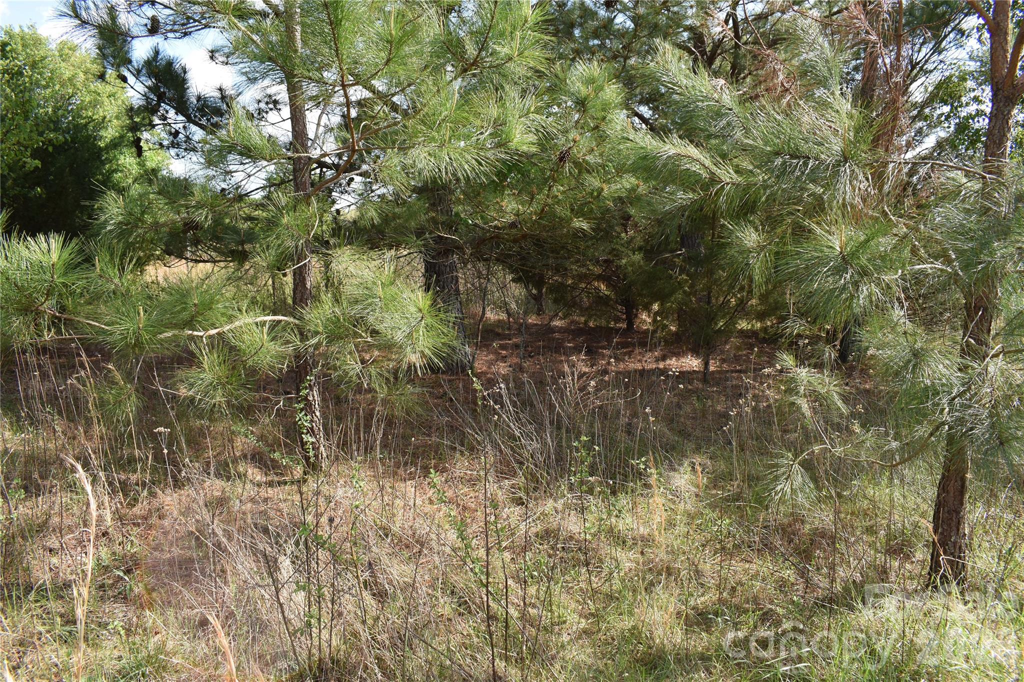 58 Malden Court Crouse NC 28033