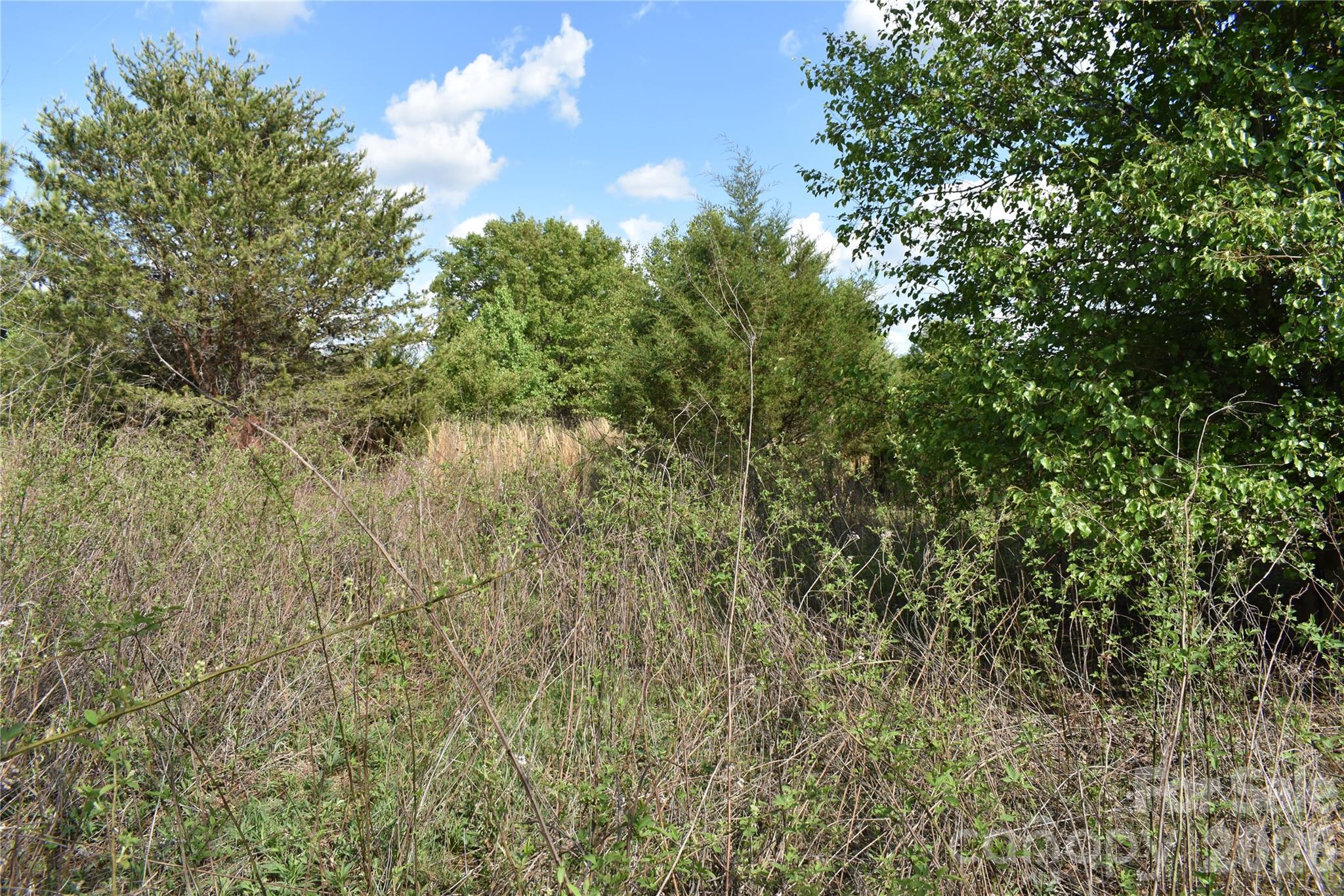 58 Malden Court Crouse NC 28033