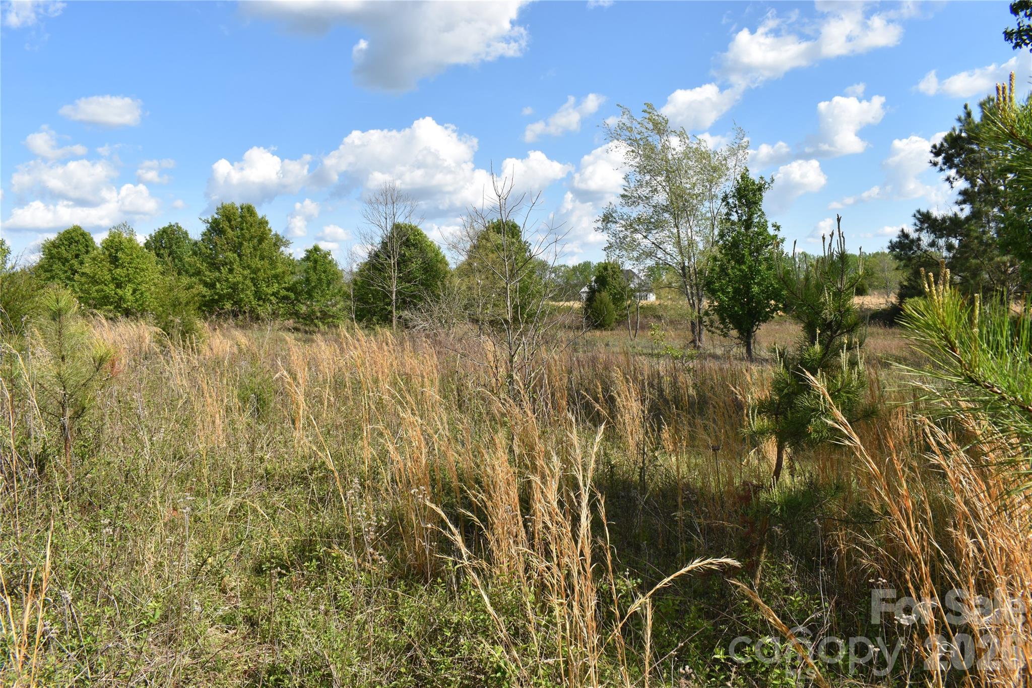 58 Malden Court Crouse NC 28033