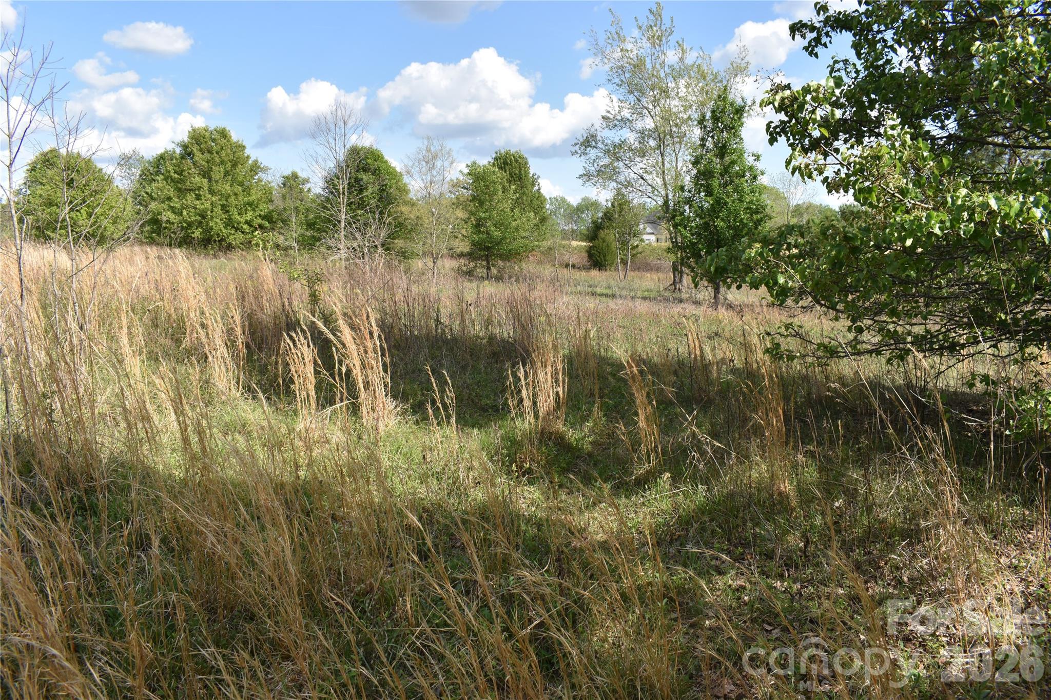 58 Malden Court Crouse NC 28033