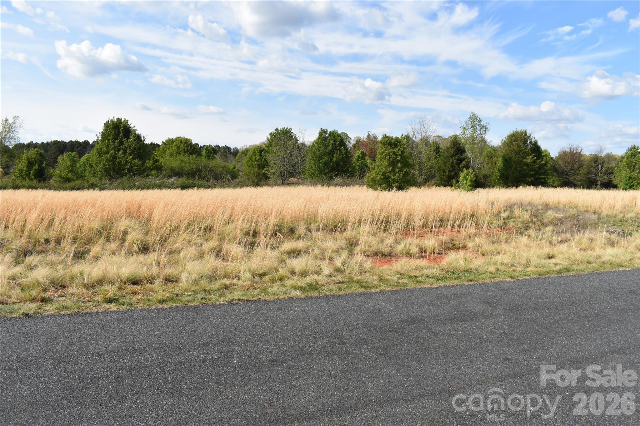 58 Malden Court Crouse NC 28033