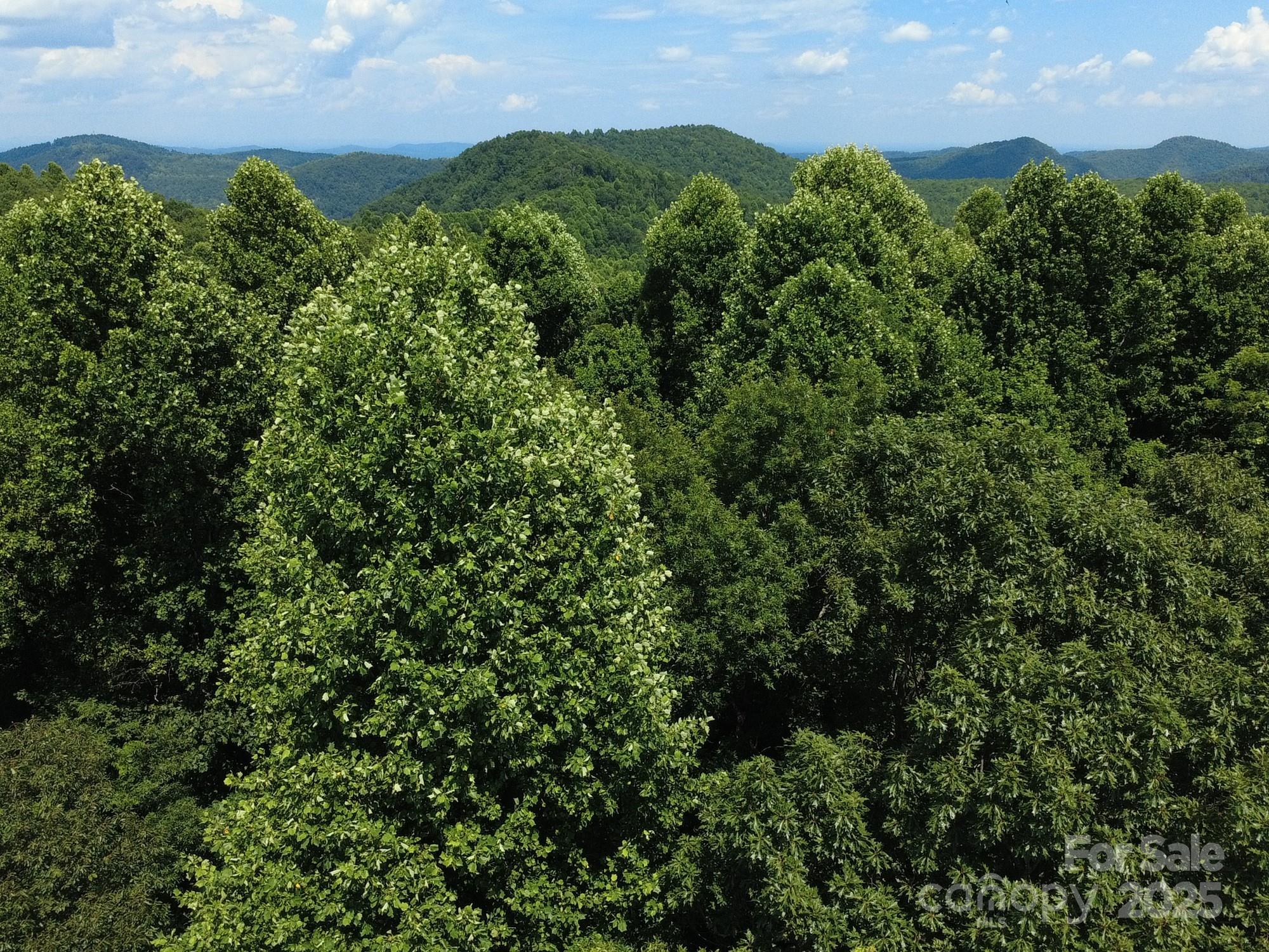 0 Poplar Ridge Lane Morganton NC 28655