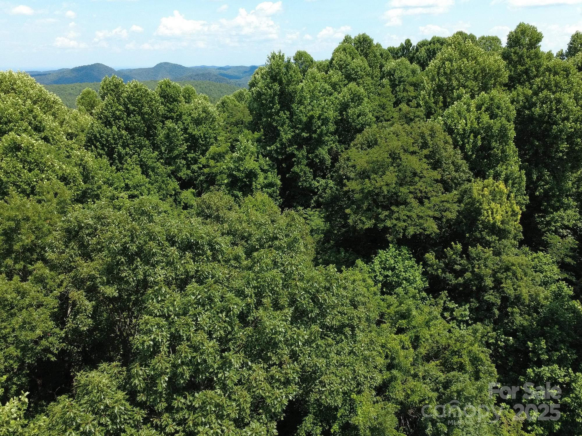 0 Poplar Ridge Lane Morganton NC 28655