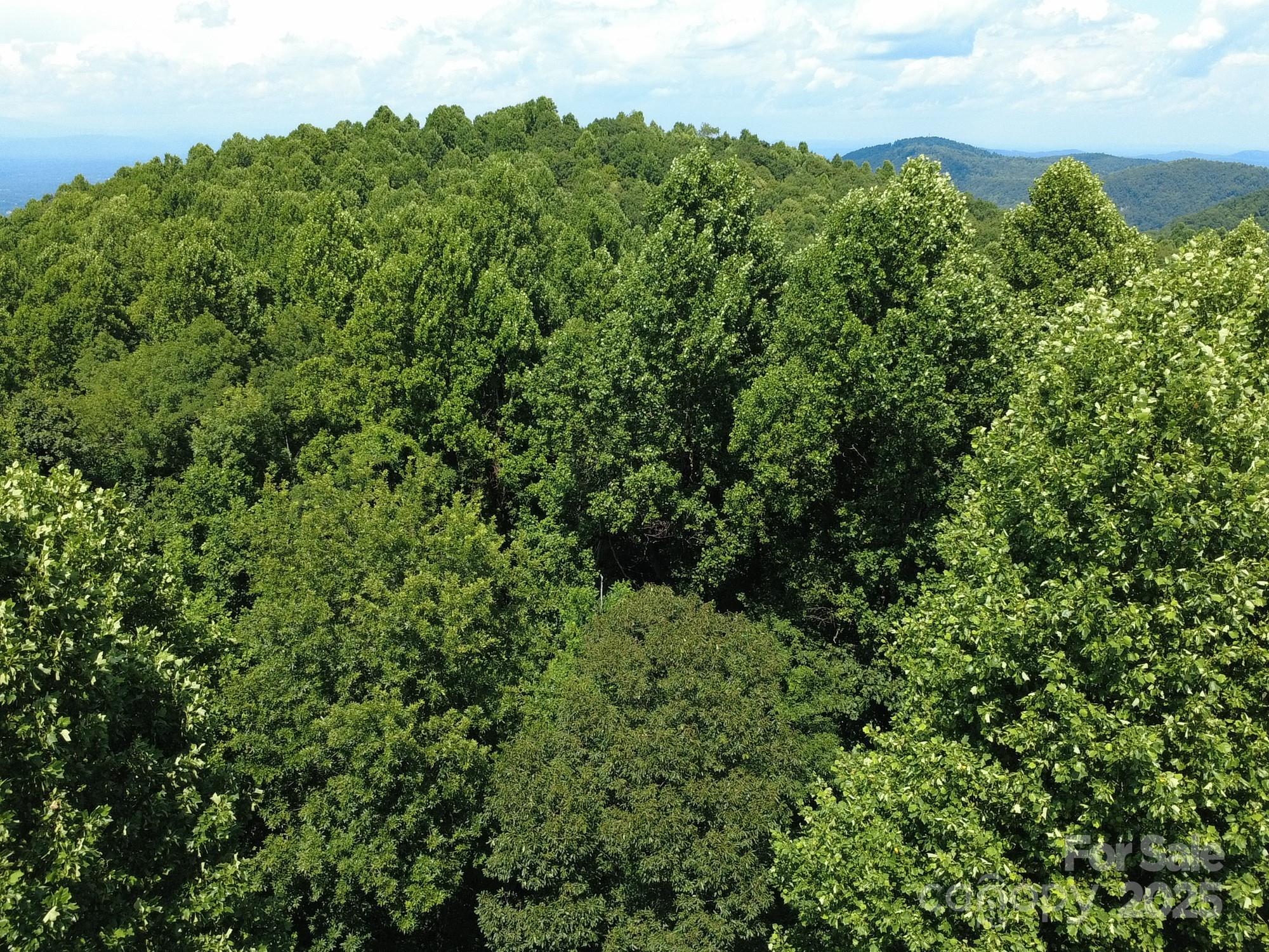 0 Poplar Ridge Lane Morganton NC 28655