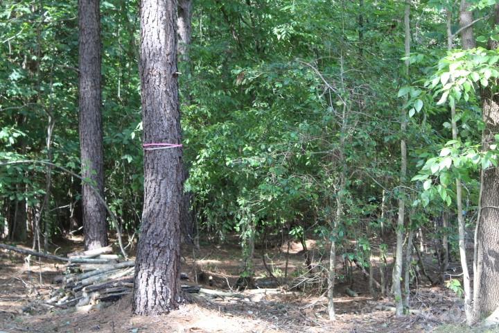 218 Table Rock Trace NW Valdese NC 28690