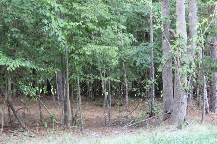 218 Table Rock Trace NW Valdese NC 28690