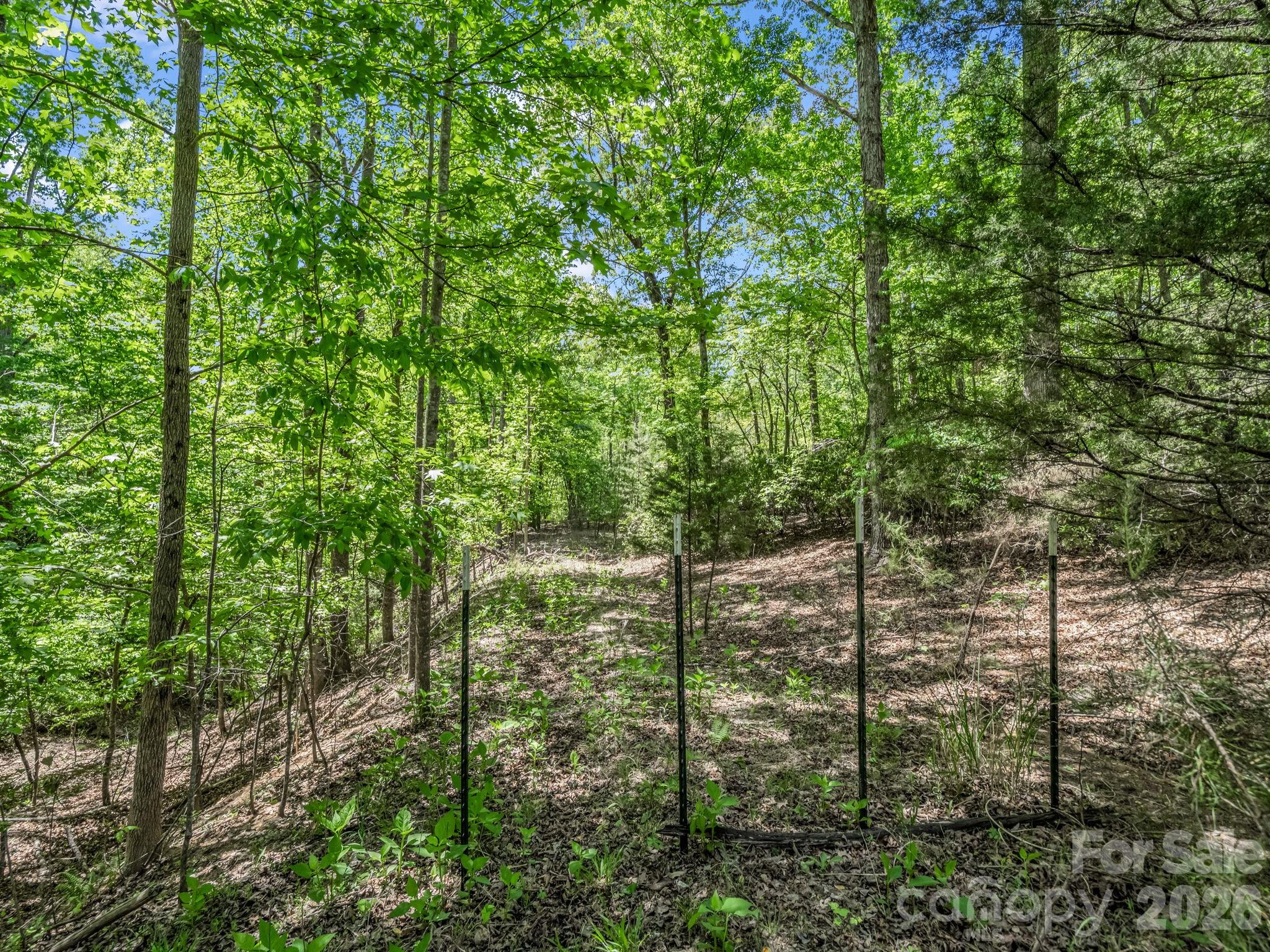 206 Westmoreland Trail Tryon NC 28782