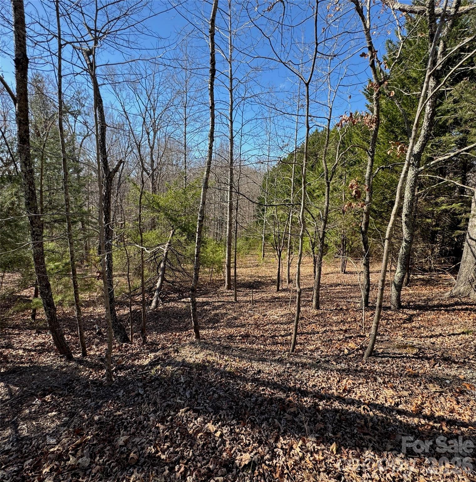 206 Westmoreland Trail Tryon NC 28782