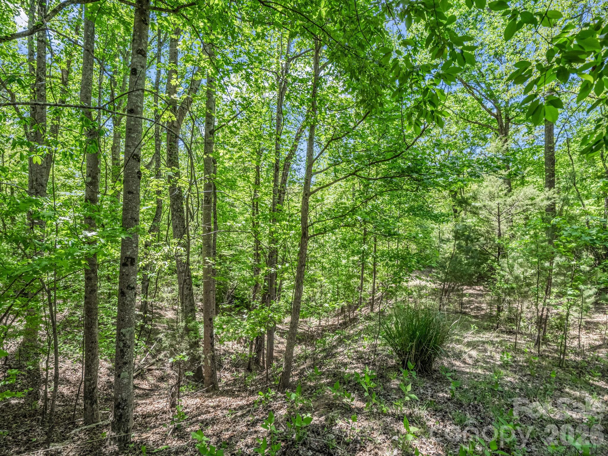 206 Westmoreland Trail Tryon NC 28782