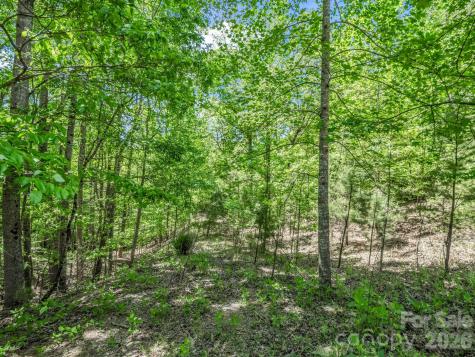 206 Westmoreland Trail Tryon NC 28782