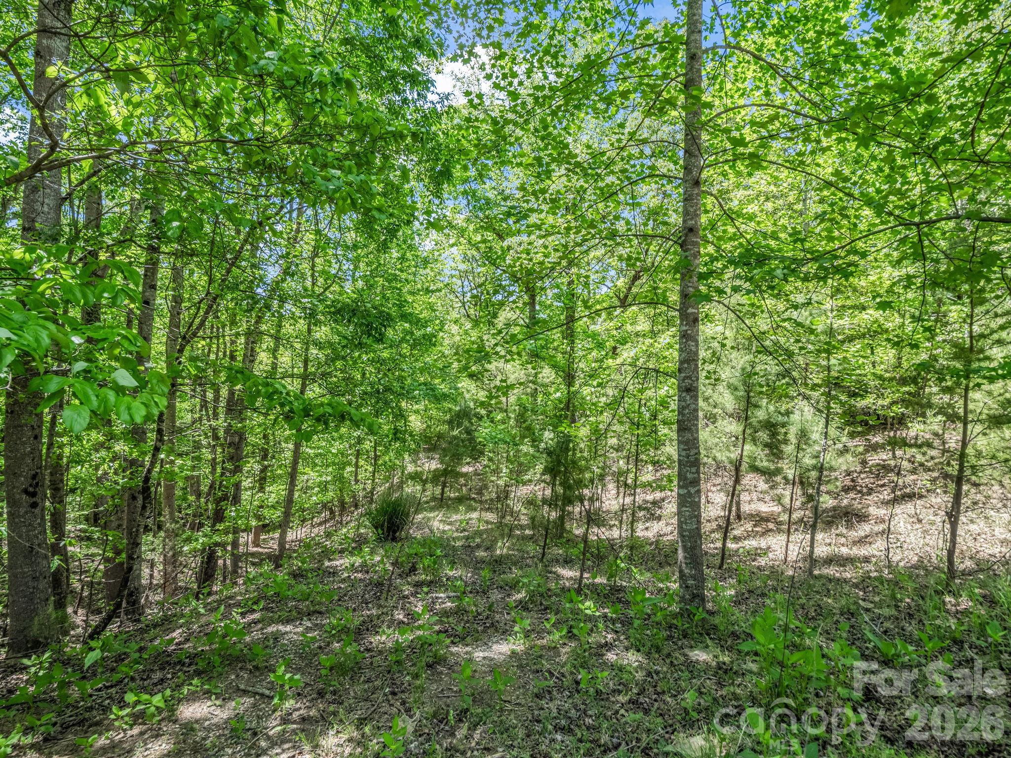 206 Westmoreland Trail Tryon NC 28782