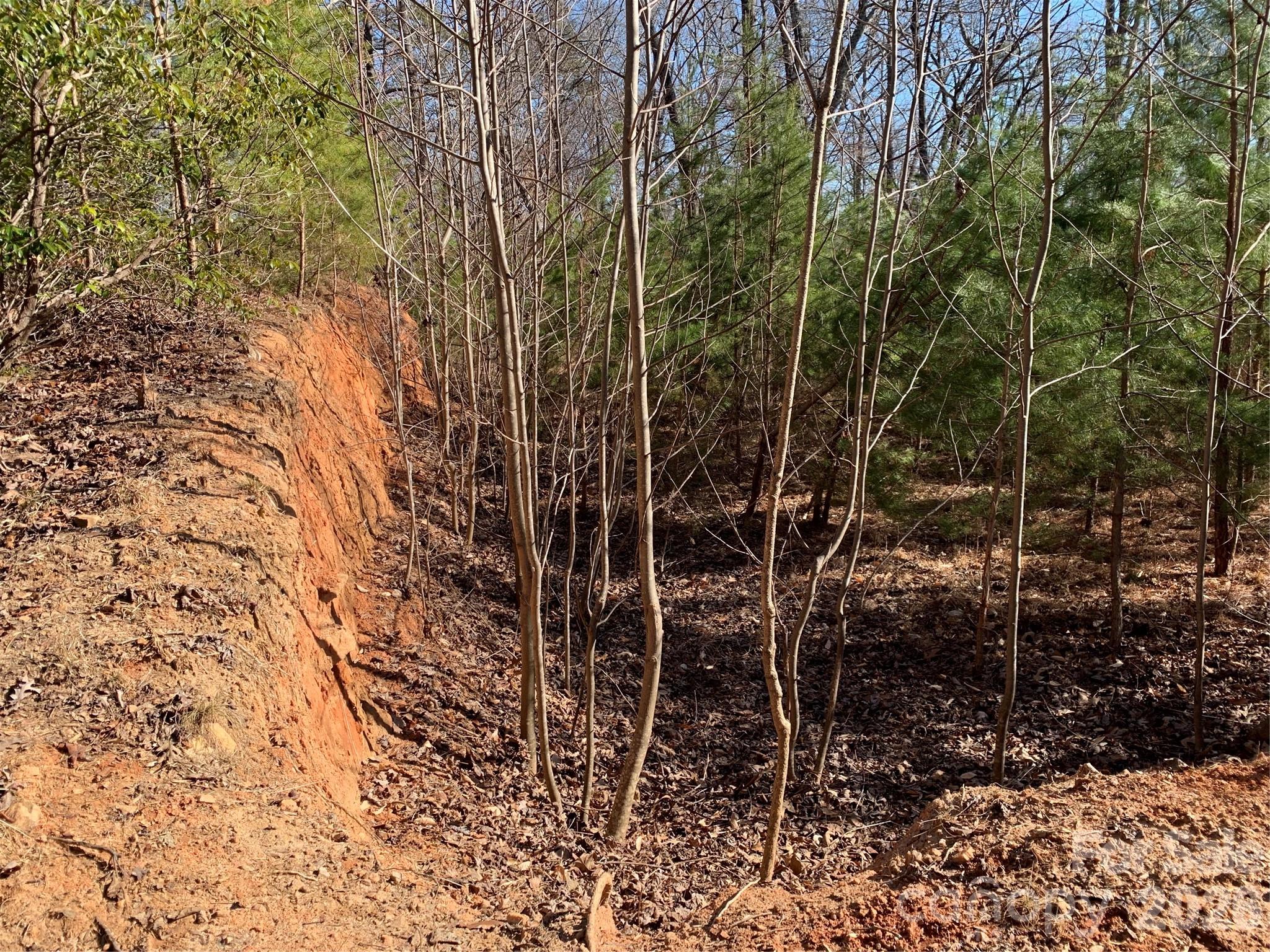 206 Westmoreland Trail Tryon NC 28782