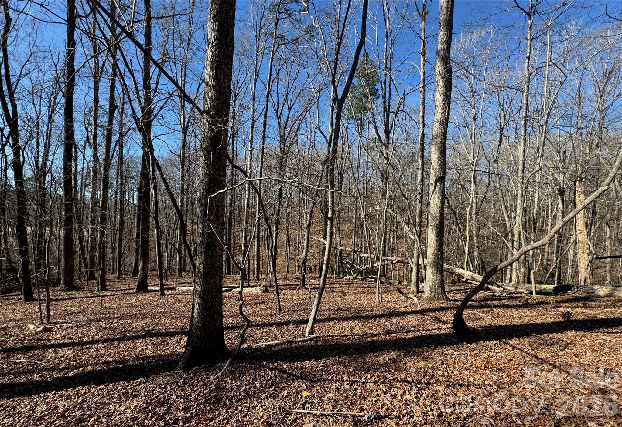 206 Westmoreland Trail Tryon NC 28782
