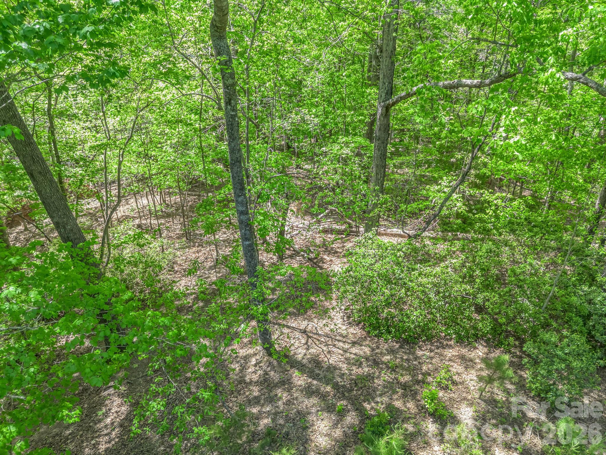 206 Westmoreland Trail Tryon NC 28782