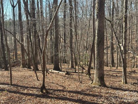 206 Westmoreland Trail Tryon NC 28782