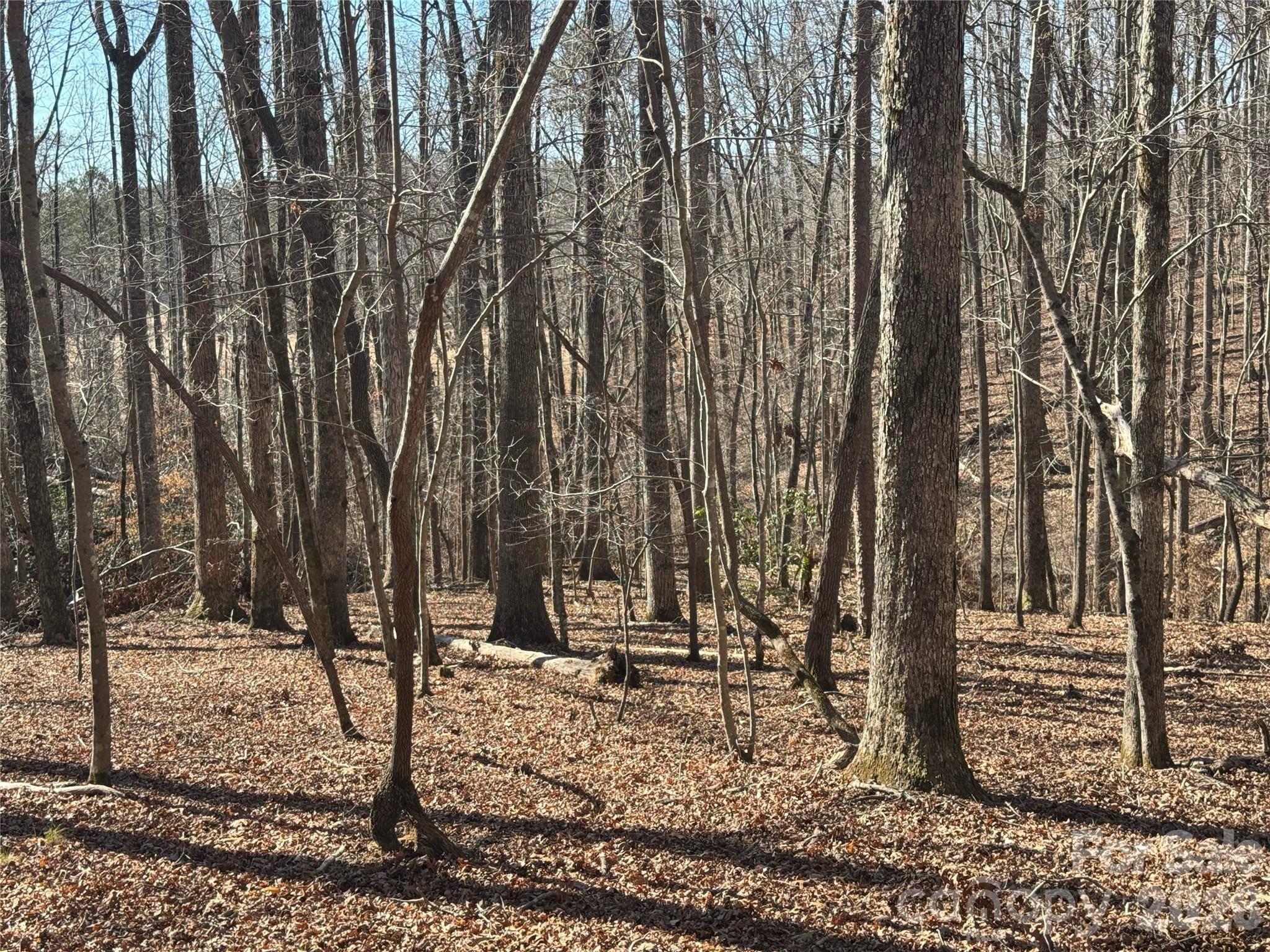 206 Westmoreland Trail Tryon NC 28782