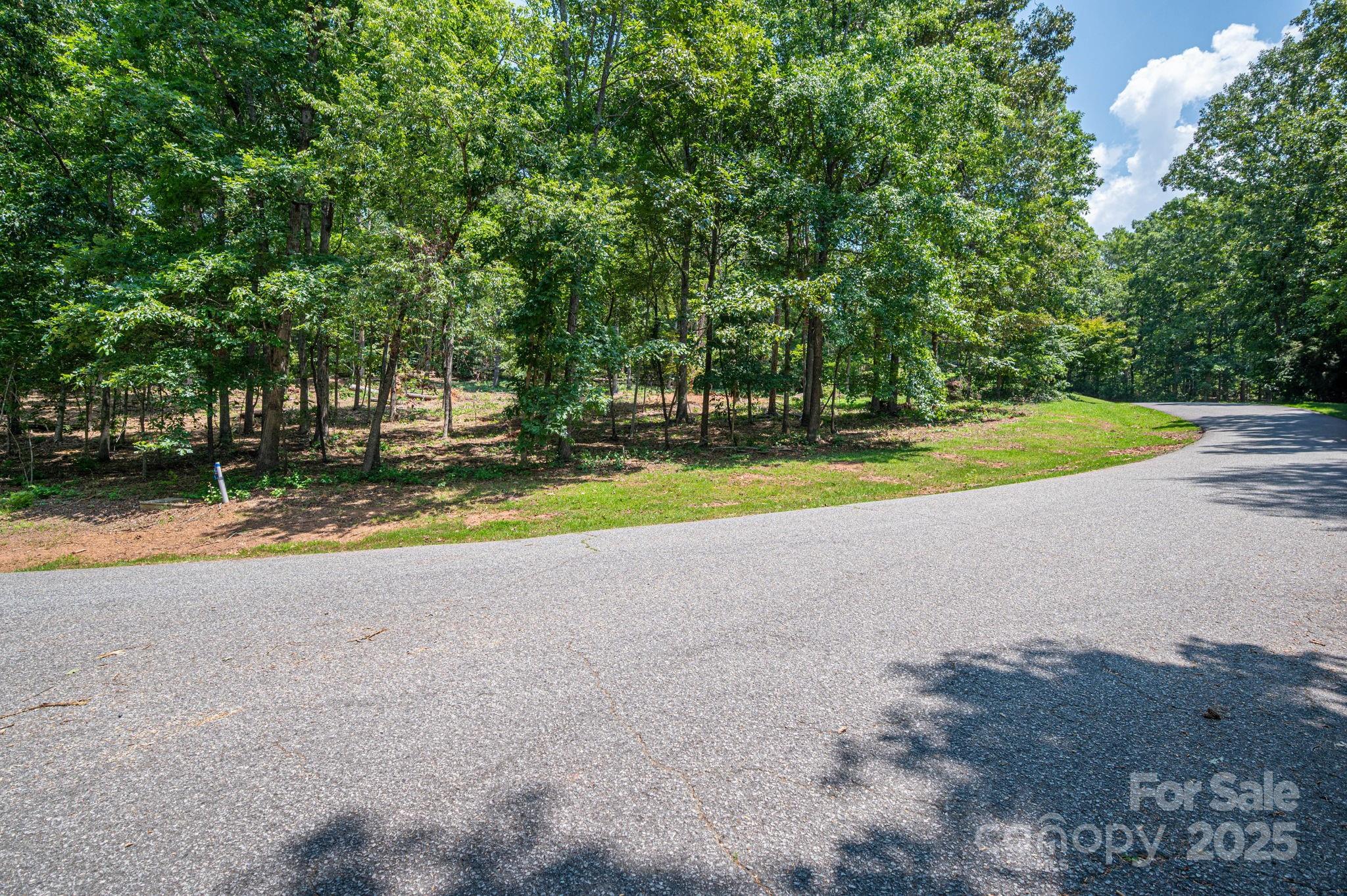 Lot # 27 Moss Drive Rutherfordton NC 28139