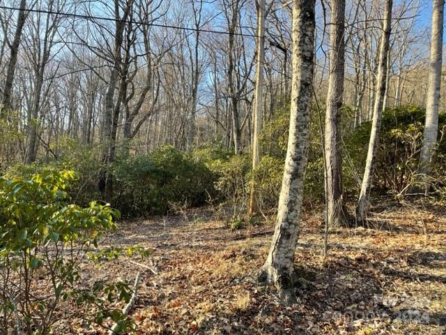 0 E Poplar Lane Hendersonville NC 28792