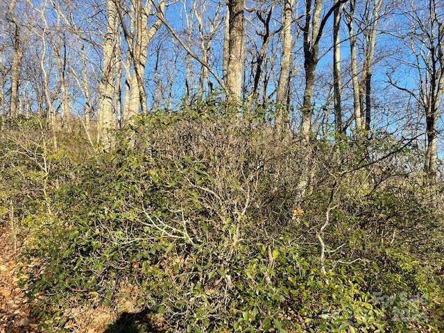 0 E Poplar Lane Hendersonville NC 28792