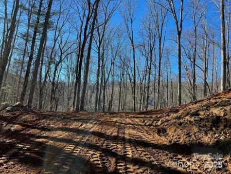 99999 N Pointe Drive Zirconia NC 28790