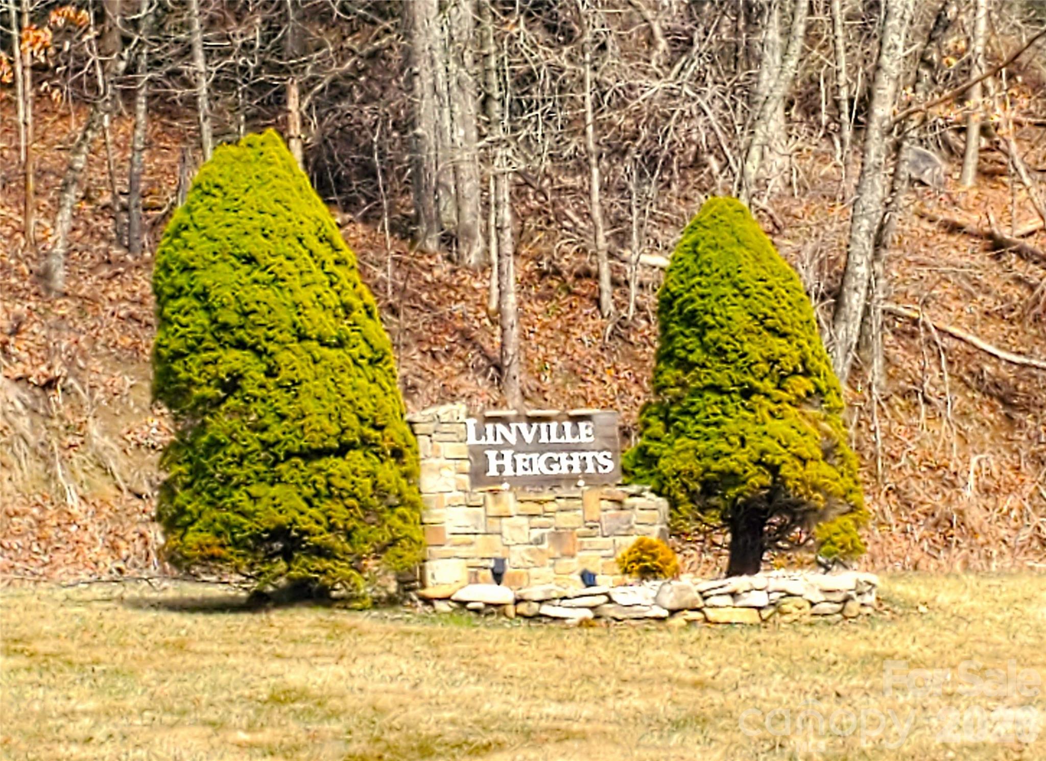 Lot 67 Linhigh Drive Linville NC 28646