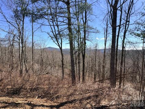 Lot 67 Linhigh Drive Linville NC 28646