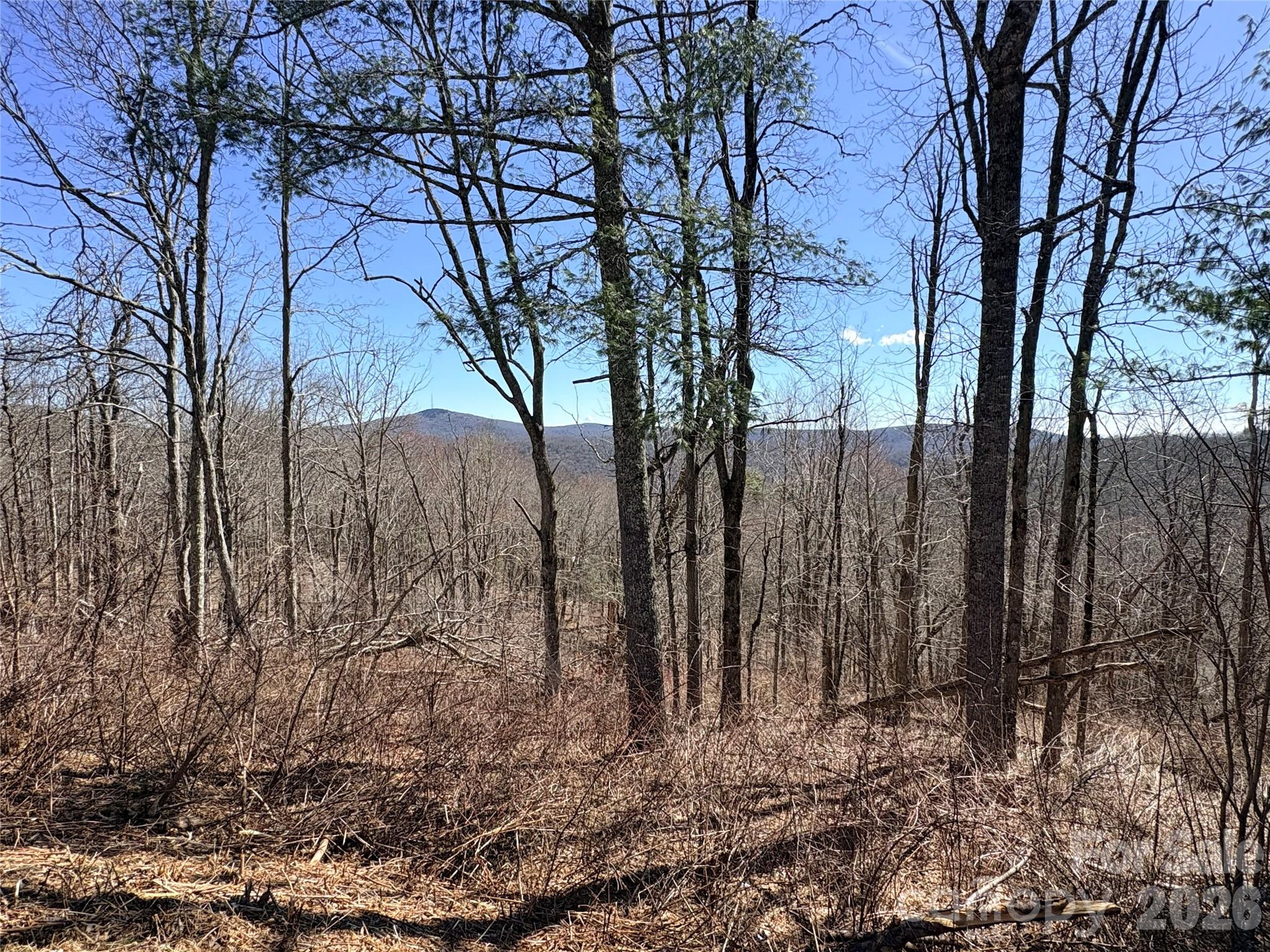 Lot 67 Linhigh Drive Linville NC 28646