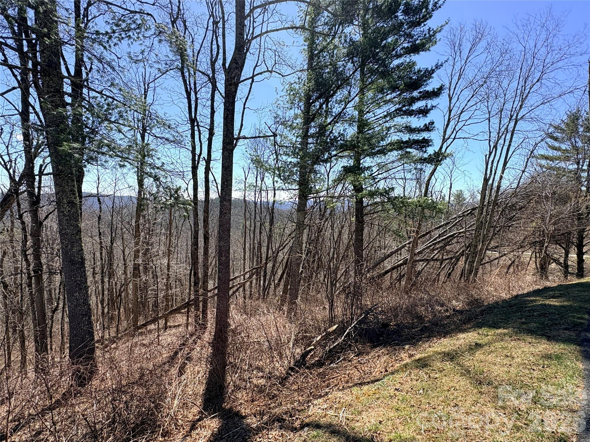 Lot 67 Linhigh Drive Linville NC 28646