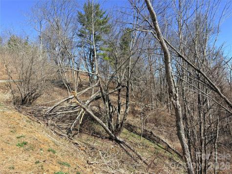 Lot 67 Linhigh Drive Linville NC 28646