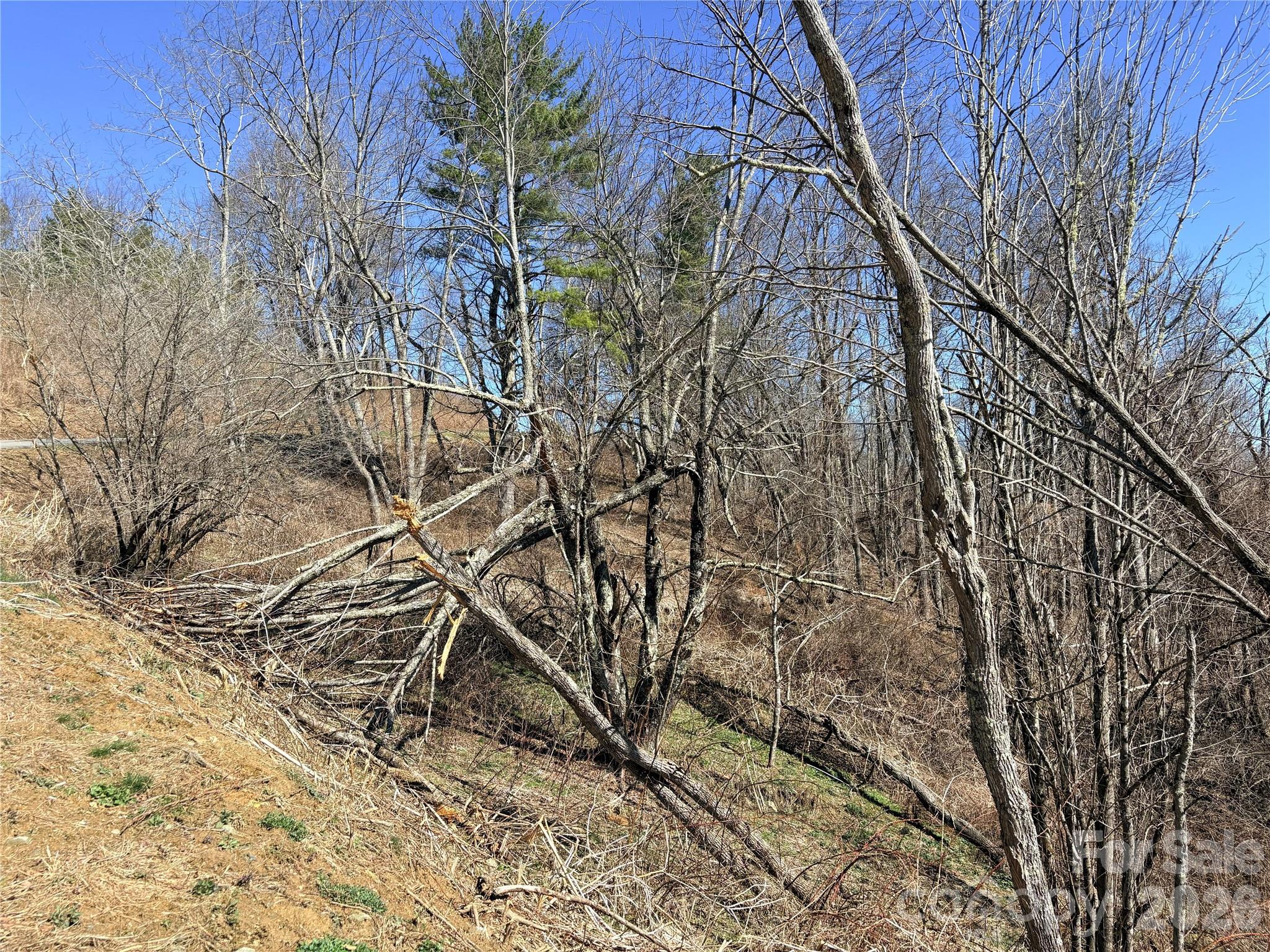 Lot 67 Linhigh Drive Linville NC 28646