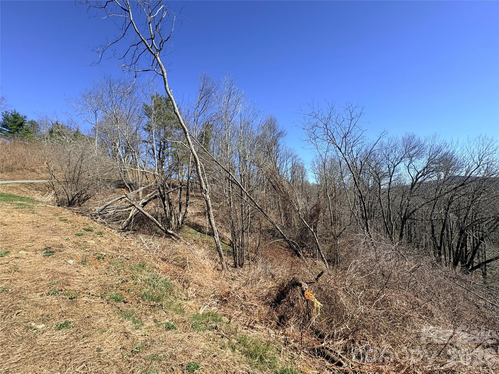 Lot 67 Linhigh Drive Linville NC 28646