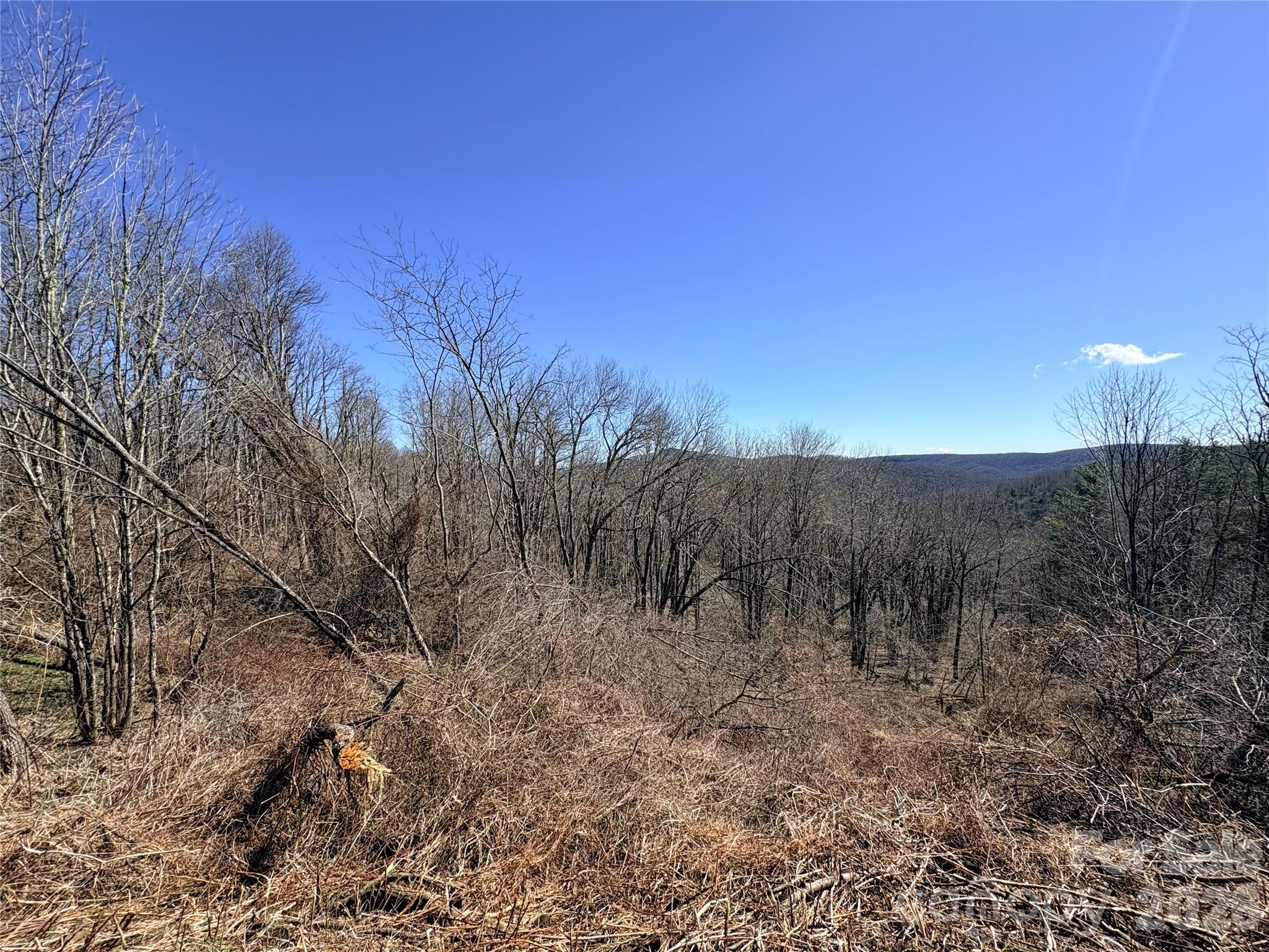 Lot 67 Linhigh Drive Linville NC 28646