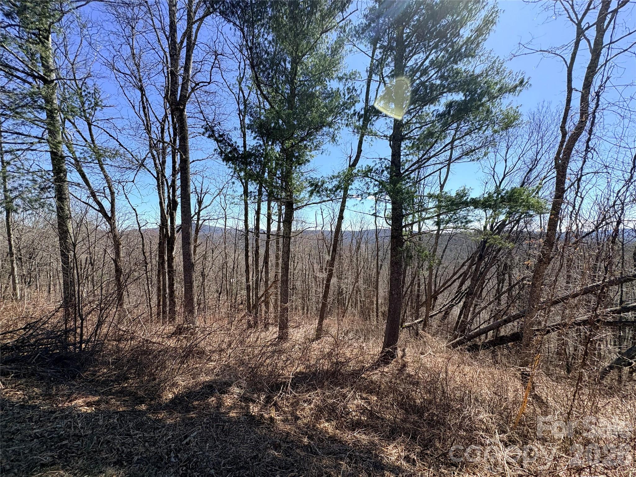 Lot 67 Linhigh Drive Linville NC 28646