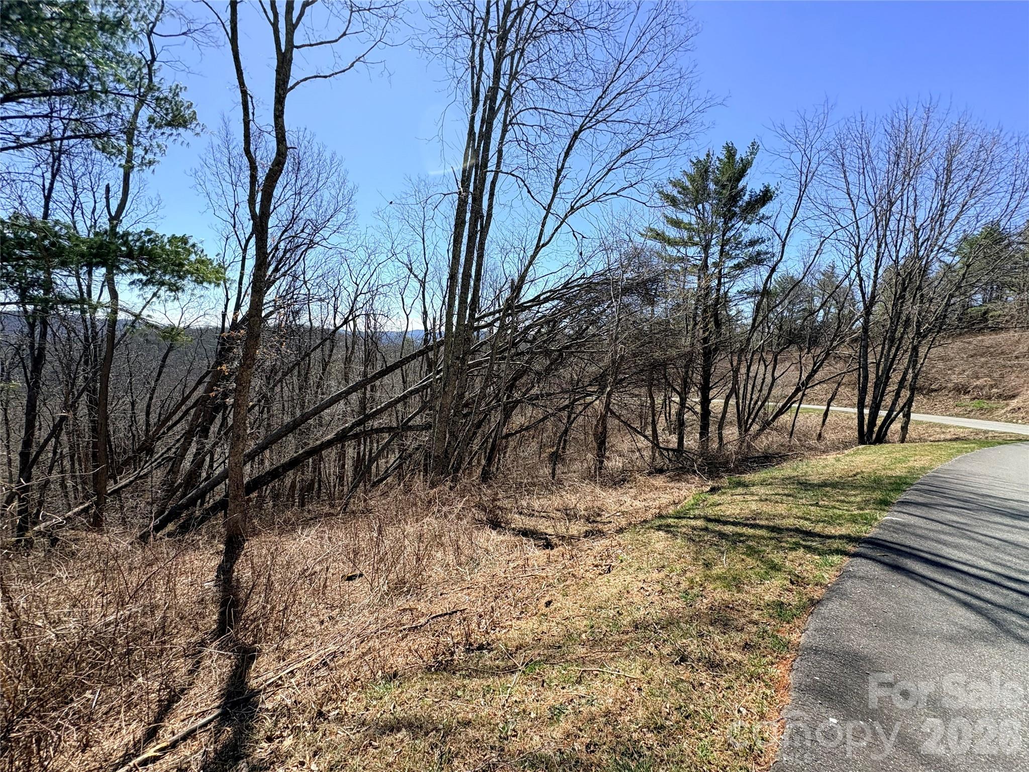 Lot 67 Linhigh Drive Linville NC 28646