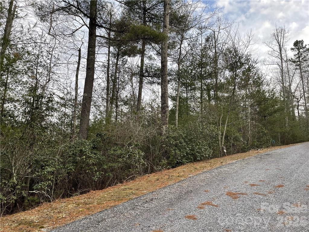 55 Boone Cove Road Zirconia NC 28790