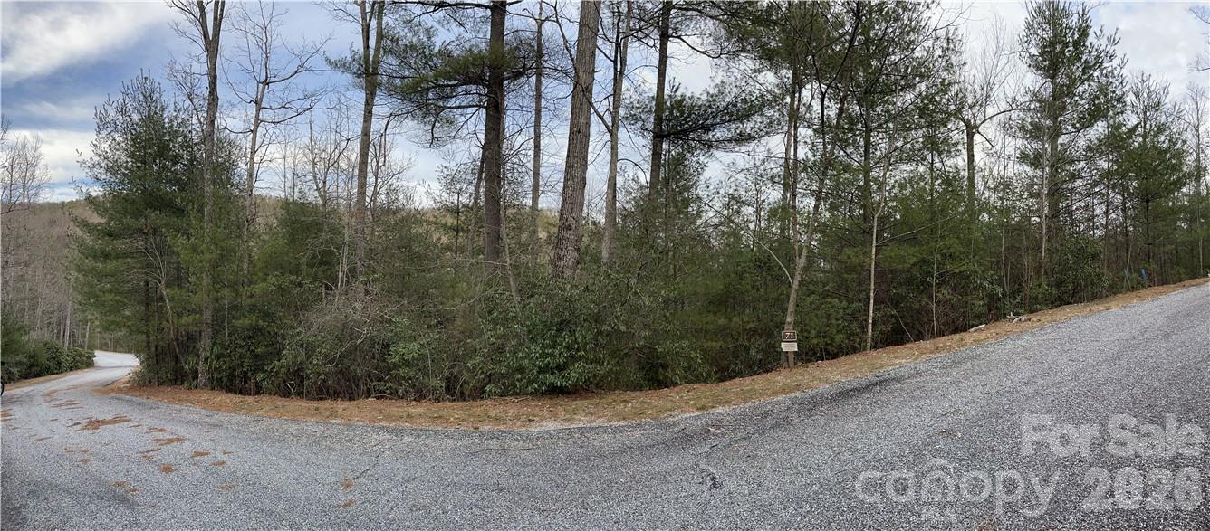 55 Boone Cove Road Zirconia NC 28790