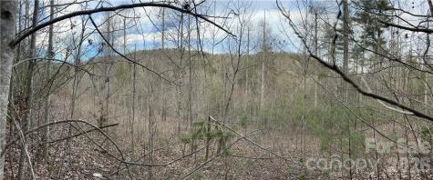55 Boone Cove Road Zirconia NC 28790