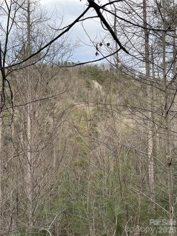 55 Boone Cove Road Zirconia NC 28790
