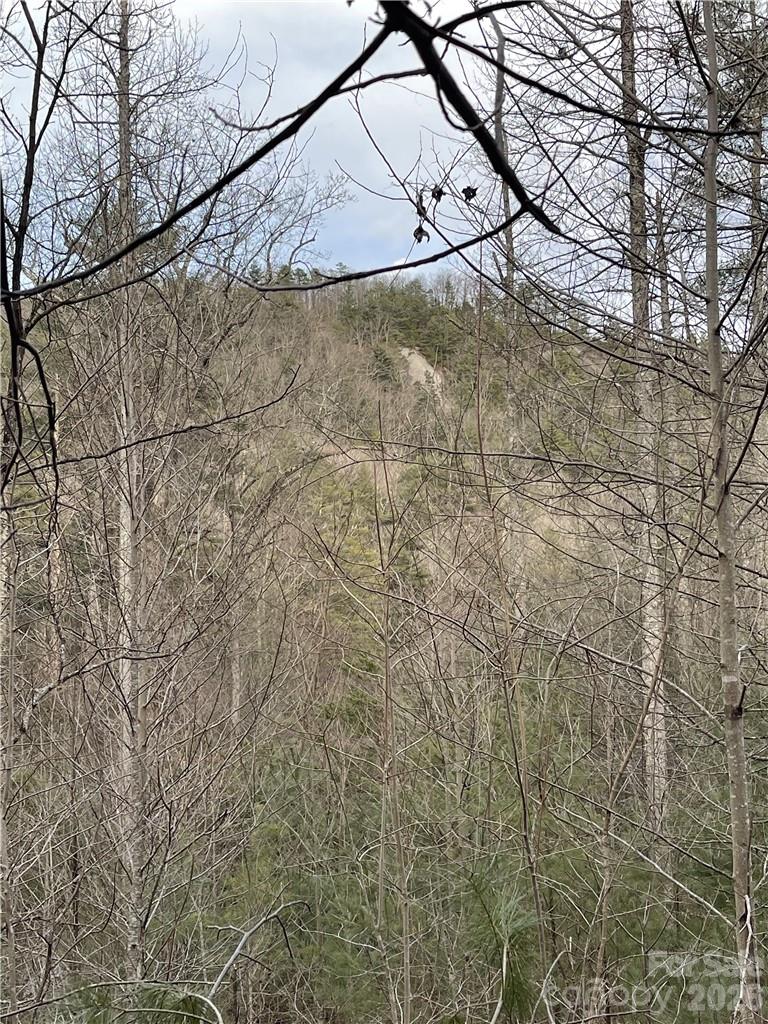 55 Boone Cove Road Zirconia NC 28790
