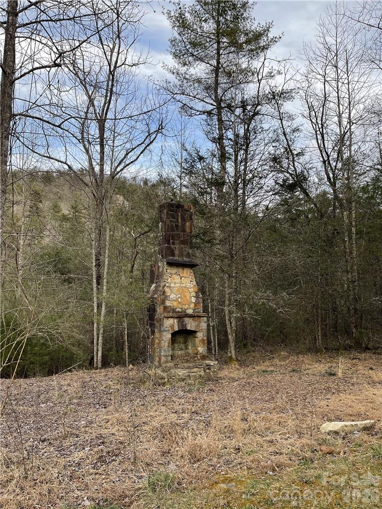 55 Boone Cove Road Zirconia NC 28790