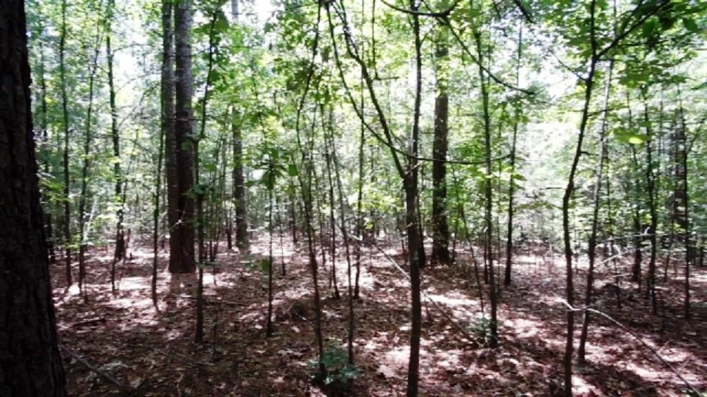 2049 Lighthouse Lane Connelly Springs NC 28612
