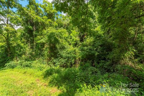 1559 Seven Glens Drive Weaverville NC 28787