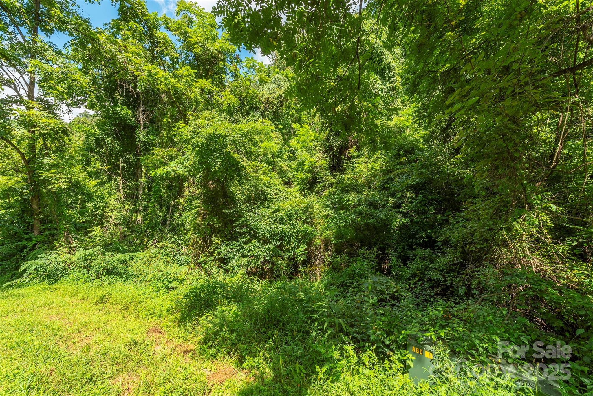 1559 Seven Glens Drive Weaverville NC 28787