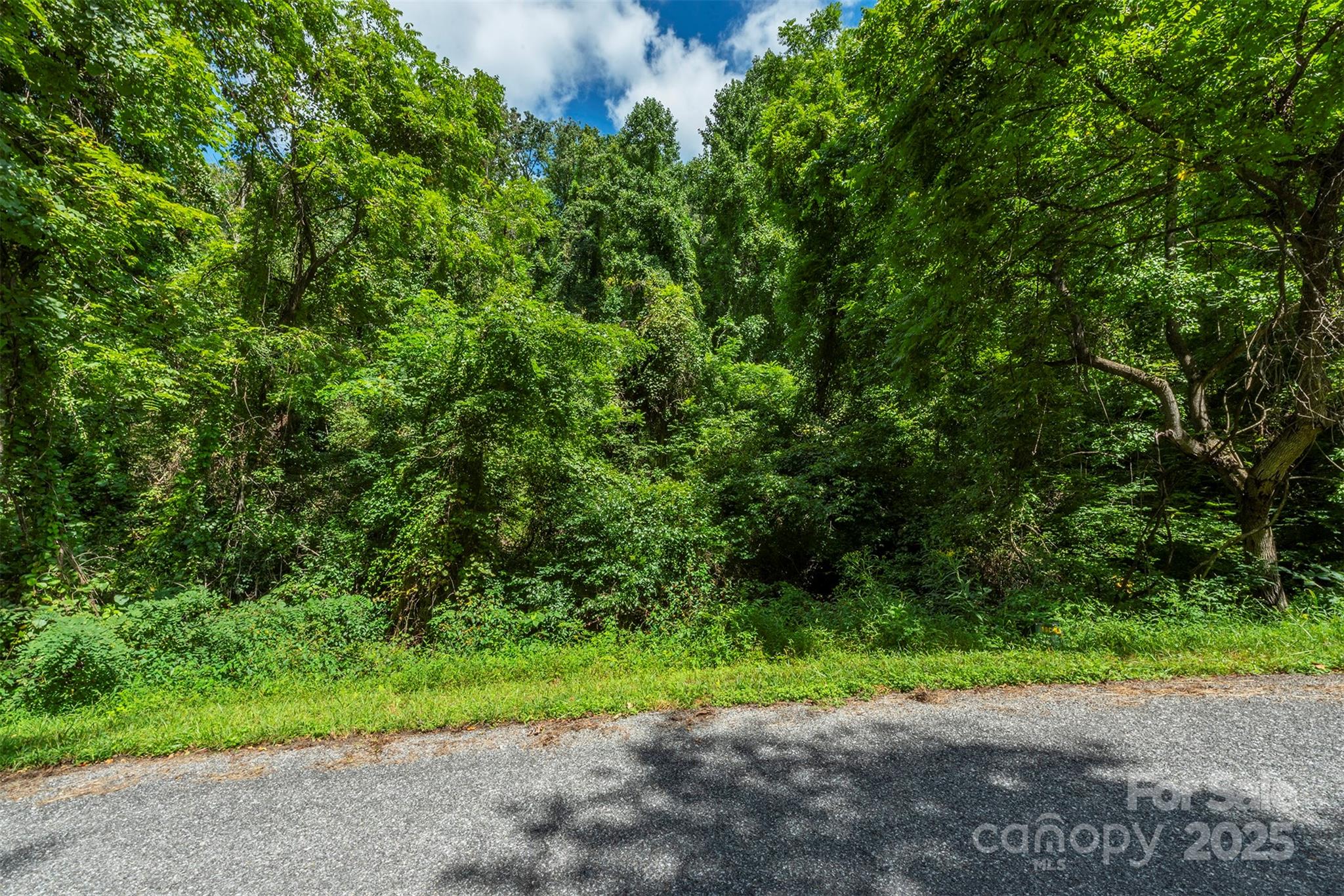 1559 Seven Glens Drive Weaverville NC 28787