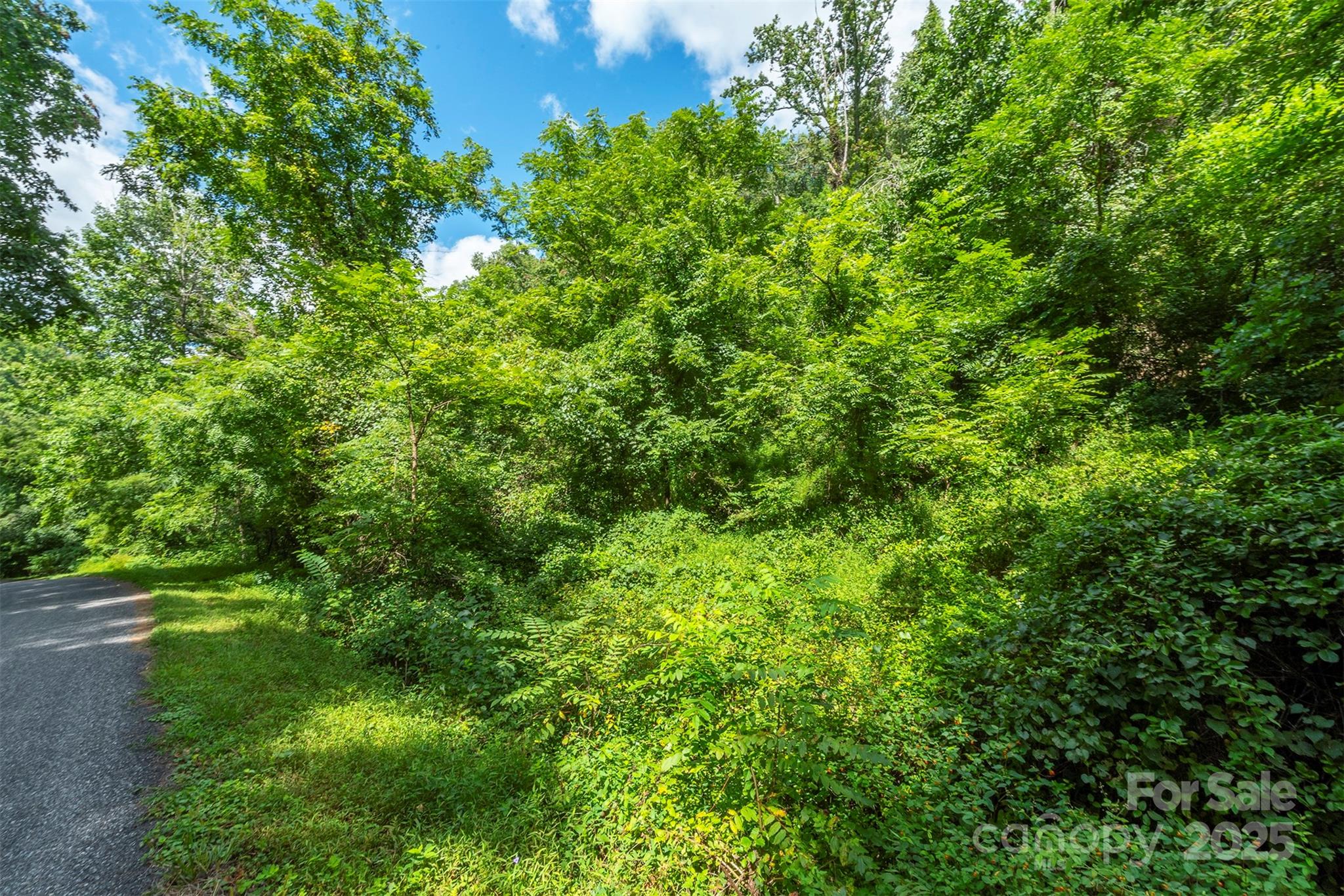 1559 Seven Glens Drive Weaverville NC 28787