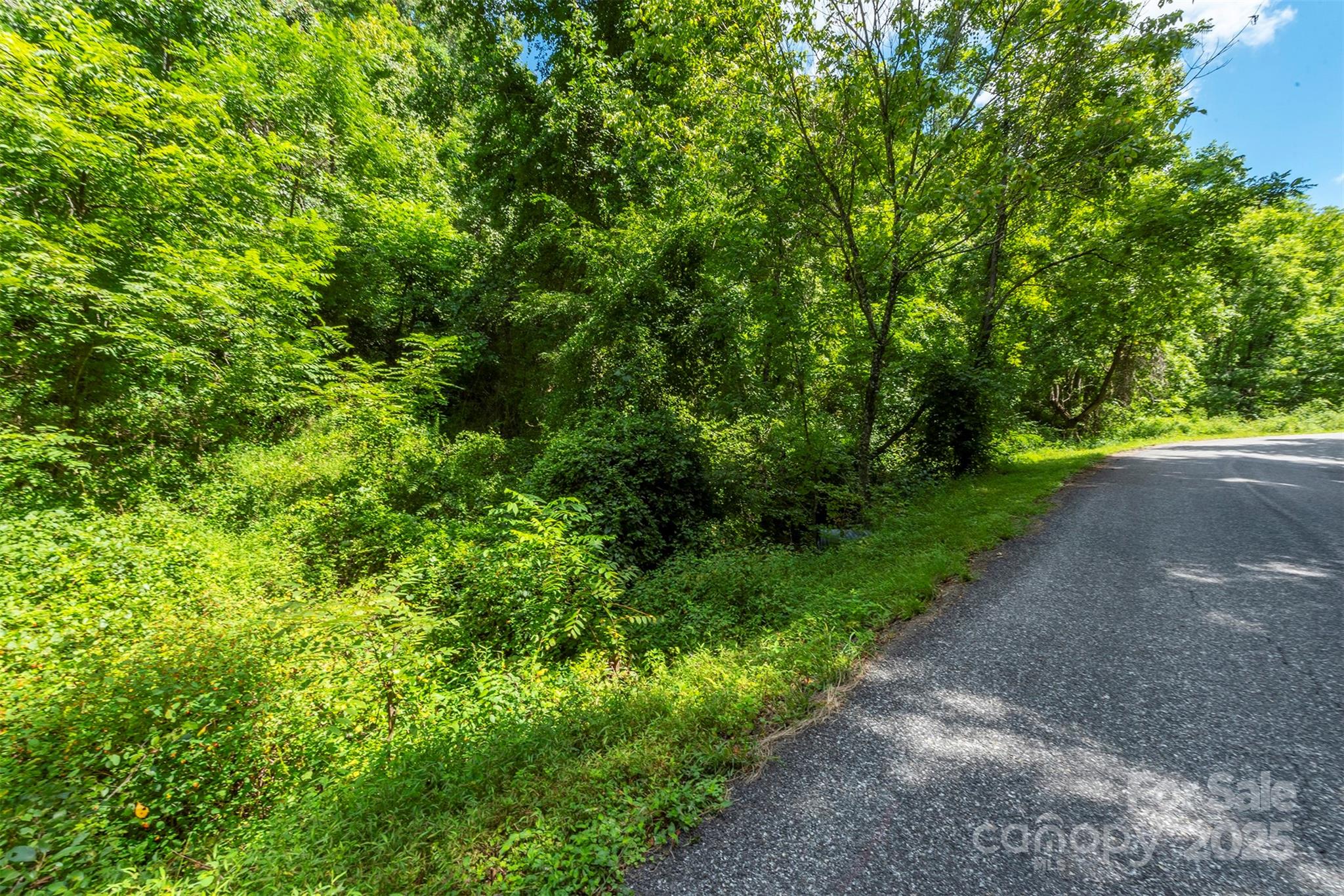 1559 Seven Glens Drive Weaverville NC 28787