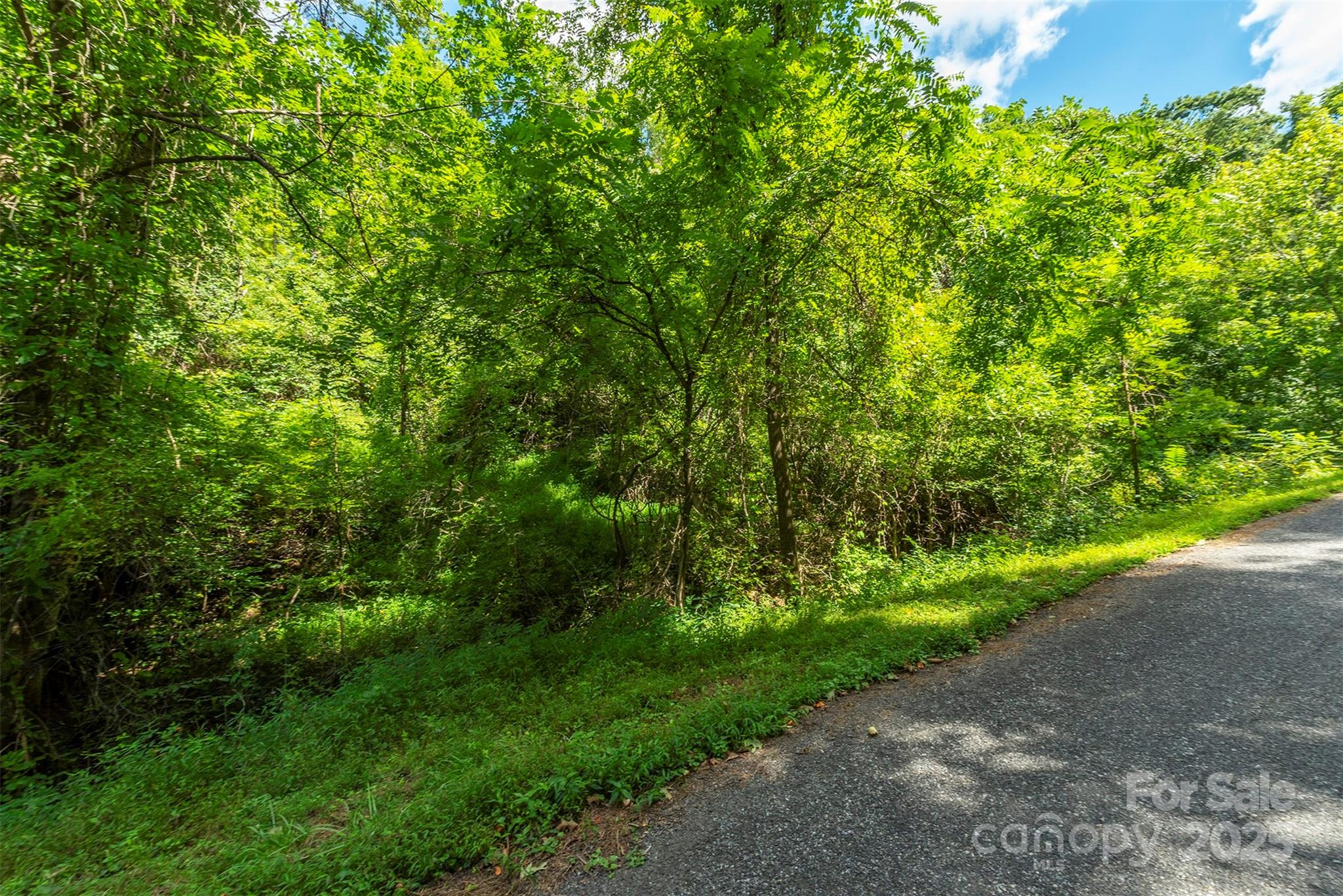 1559 Seven Glens Drive Weaverville NC 28787