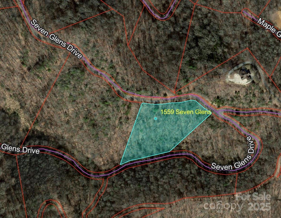 1559 Seven Glens Drive Weaverville NC 28787