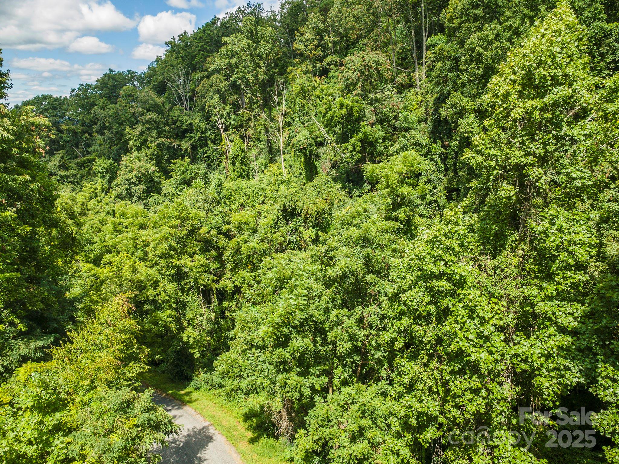 1559 Seven Glens Drive Weaverville NC 28787