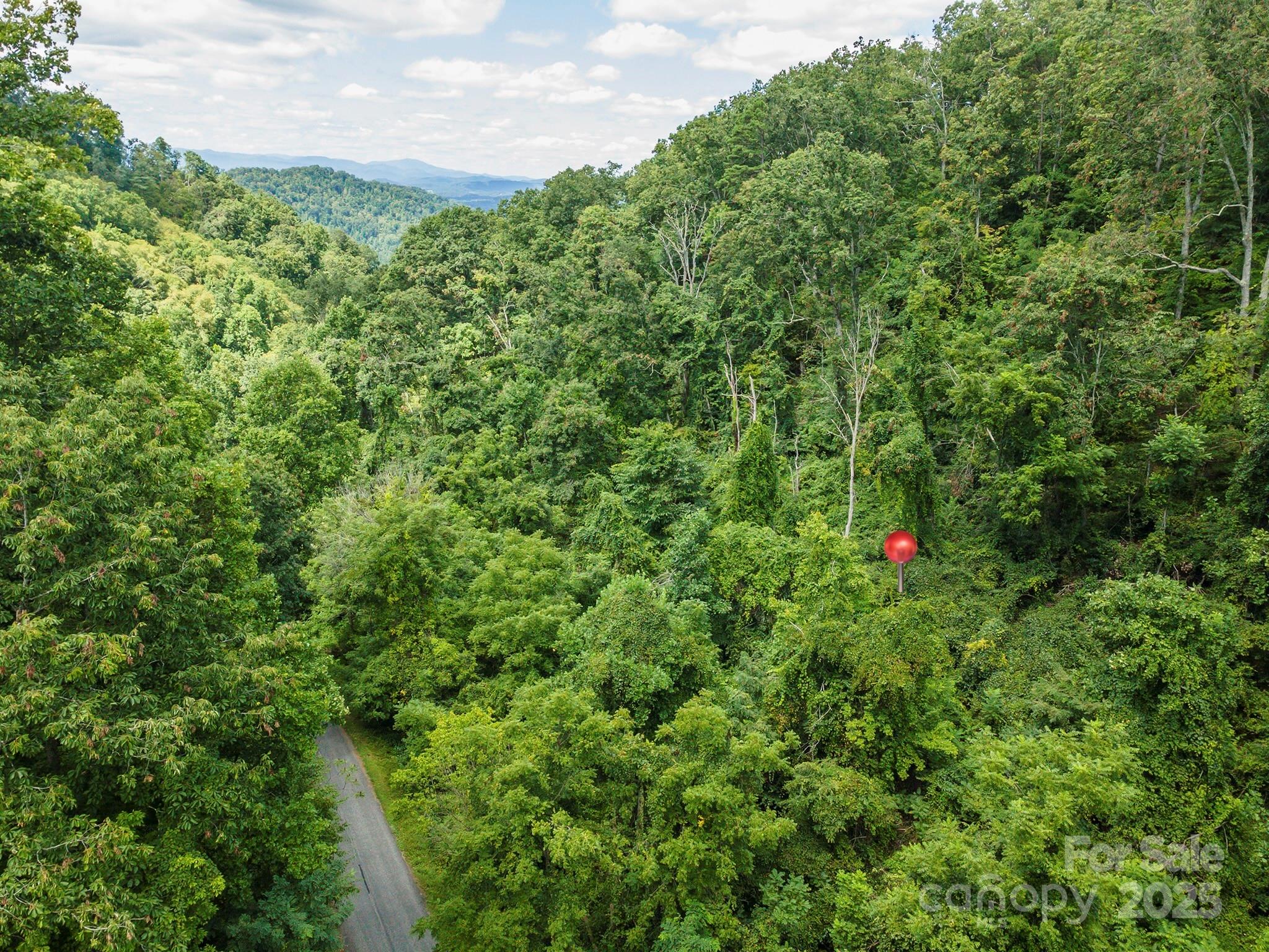 1559 Seven Glens Drive Weaverville NC 28787